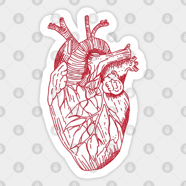 Just an anatomical heart Sticker by Geektopia